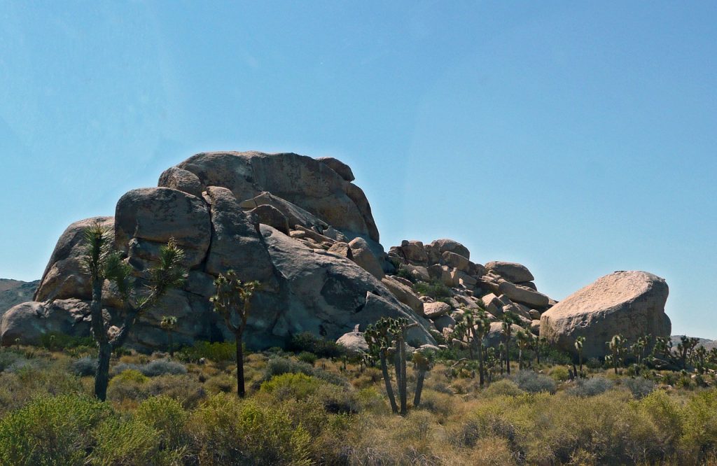 Joshua Tree National Park