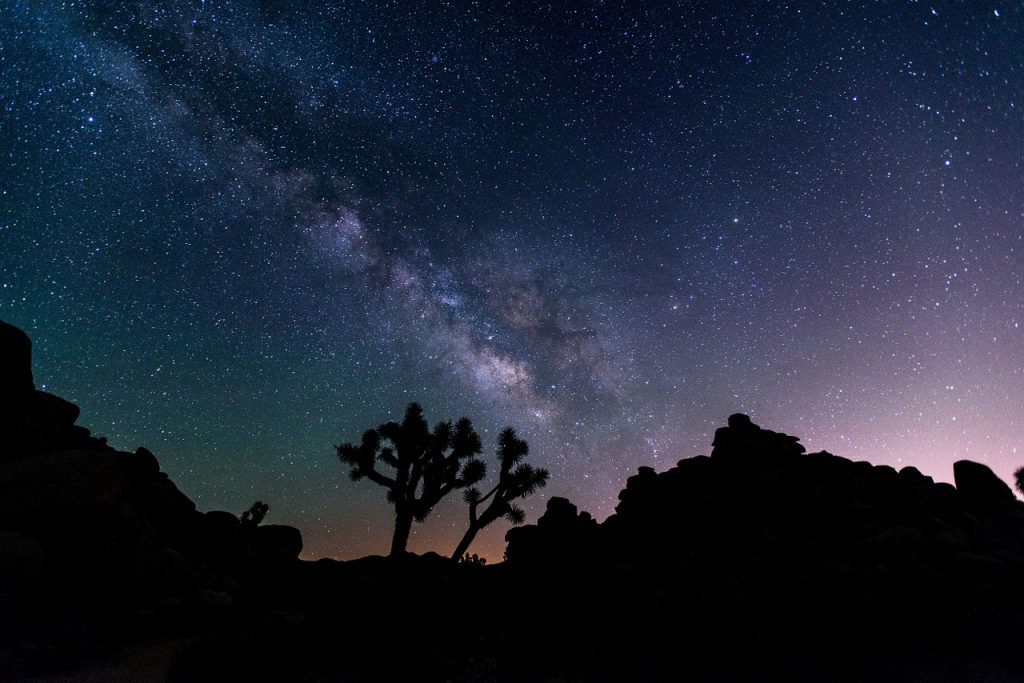 Joshua Tree National Park Camping