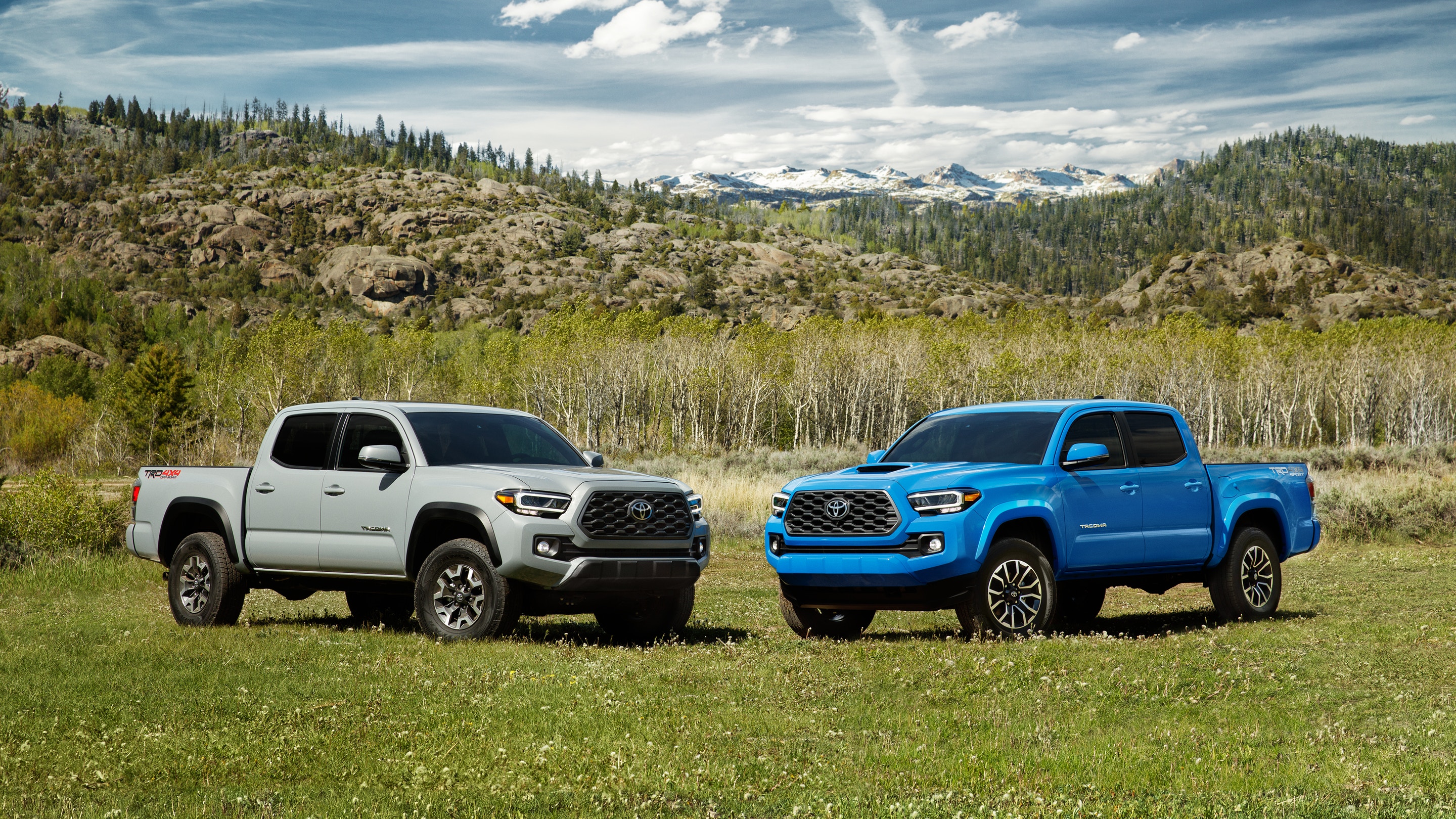 2020 Toyota Tacoma Front Blue and White Exterior