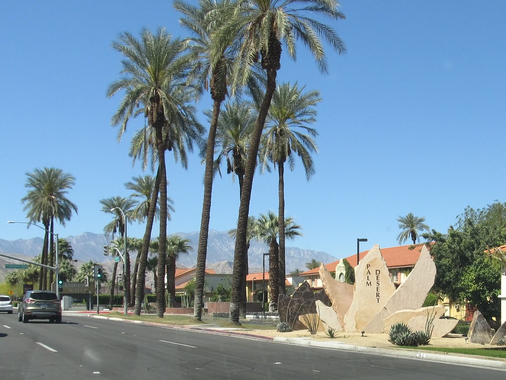 palm desert trip