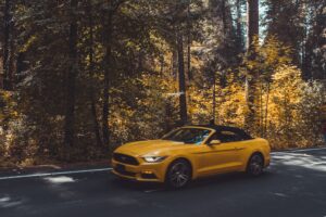 Mustang on road