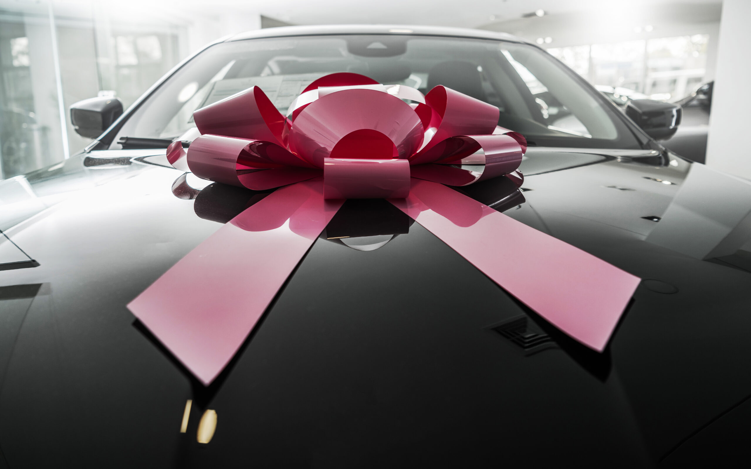 Red Bow on car hood